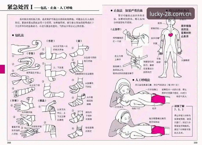 埃里克森球场昏倒急救全记录——掌握这些关键时间点与设备细节，看球更明白